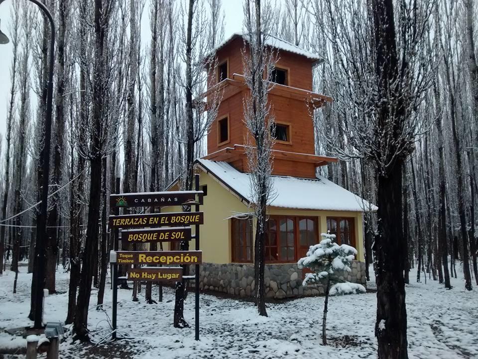 Terrazas En El Bosque Cabanas Malargüe Zewnętrze zdjęcie